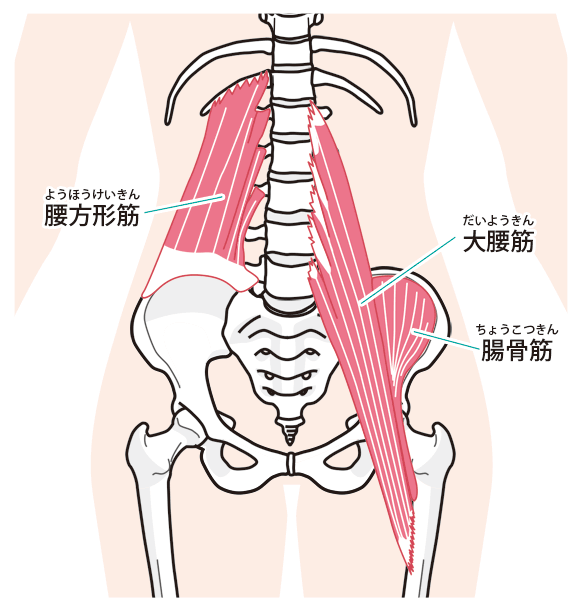 筋膜リリース,腰痛